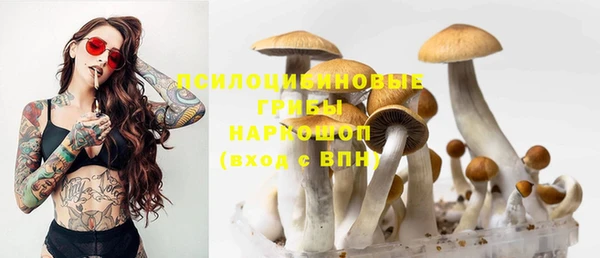 мяу мяу мука Елизово