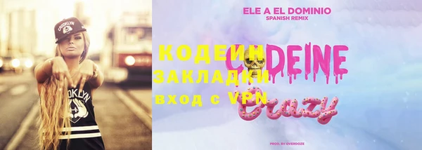индика Дмитров