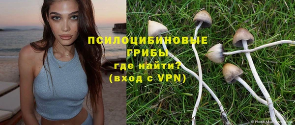мяу мяу мука Елизово