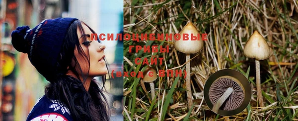 мескалин Елабуга